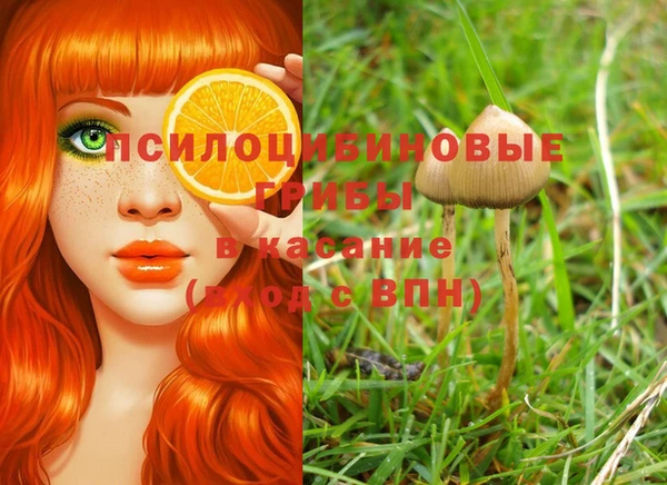 Альфа ПВП Балабаново