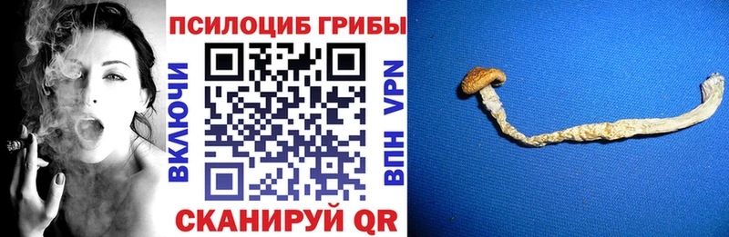 Галлюциногенные грибы прущие грибы купить наркотик blacksprut онион Унеча