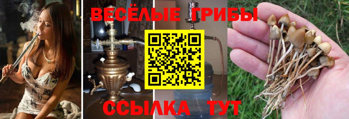 Галлюциногенные грибы Cubensis  Вход с VPN  Галлюциногенные грибы Psilocybe  Унеча 